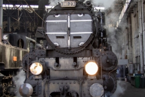 nick Canon EOS 90D f/4.5 1/80sec ISO-160 26mm