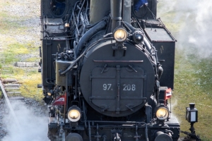 nick Canon EOS 90D f/5.6 1/200sec ISO-320 85mm