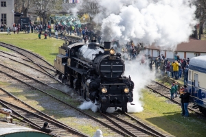 nick Canon EOS 90D f/5.6 1/200sec ISO-100 85mm