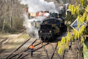 nick Canon EOS 90D f/5.6 1/320sec ISO-100 85mm