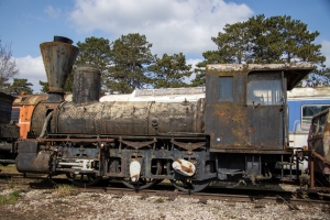 nick Canon EOS 90D f/4 1/1000sec ISO-100 24mm