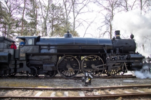 nick Canon EOS 90D f/4 1/250sec ISO-100 17mm