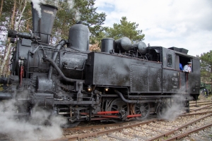 nick Canon EOS 90D f/4 1/250sec ISO-100 17mm