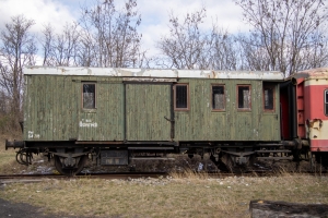 nick Canon EOS 90D f/4.5 1/400sec ISO-100 33mm