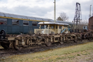 nick Canon EOS 90D f/4.5 1/400sec ISO-100 33mm