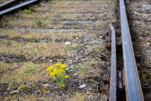 nick Canon EOS 90D f/5 1/320sec ISO-100 44mm