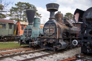 nick Canon EOS 90D f/4 1/400sec ISO-100 24mm