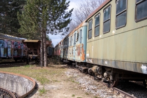 nick Canon EOS 90D f/5 1/640sec ISO-100 38mm