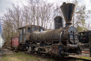 nick Canon EOS 90D f/4 1/500sec ISO-100 22mm