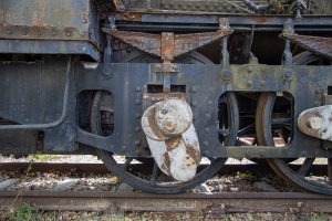 nick Canon EOS 90D f/4.5 1/125sec ISO-100 26mm