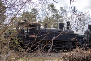 nick Canon EOS 90D f/4.5 1/320sec ISO-100 30mm