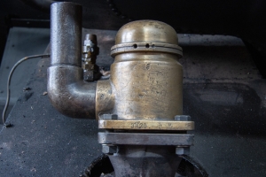 nick Canon EOS 90D f/5 1/100sec ISO-500 41mm