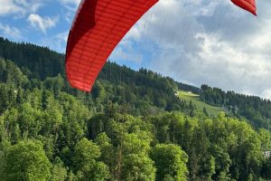 iPhone 14 Pro f/1.78 1/2732sec ISO-64 6.86mm