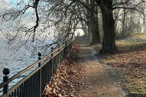 iPhone 13 f/1.6 1/898sec ISO-50 5.0999999046326mm Horizontal (normal)