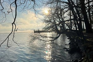 iPhone 13 f/1.6 1/9091sec ISO-50 5.0999999046326mm Horizontal (normal)