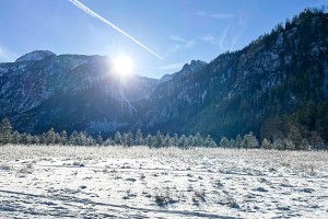 iPhone 13 f/1.6 1/8403sec ISO-50 5.0999999046326mm Horizontal (normal)