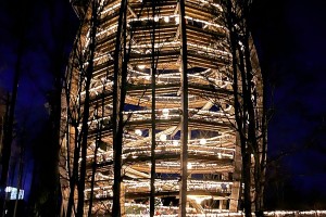 iPhone 13 f/1.6 1/5sec ISO-800 5.0999999046326mm Horizontal (normal)