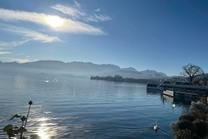 iPhone 13 f/1.6 1/9901sec ISO-50 5.0999999046326mm Horizontal (normal)