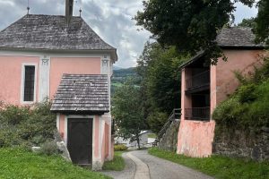 iPhone 13 f/2.4 1/531sec ISO-32 1.54mm