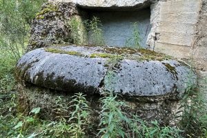 iPhone 13 f/2.4 1/99sec ISO-250 1.54mm