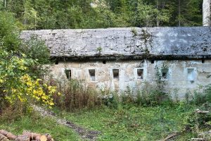 iPhone 13 f/1.6 1/121sec ISO-64 5.1mm