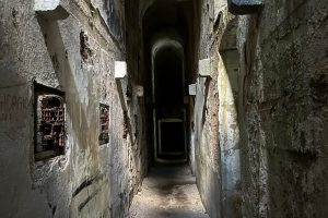 iPhone 13 f/1.6 1/11sec ISO-640 5.1mm