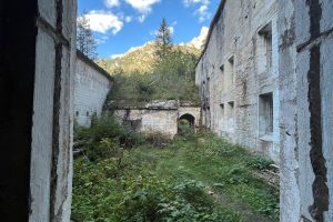 iPhone 13 f/2.4 1/99sec ISO-40 1.54mm