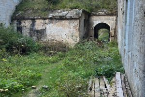 iPhone 13 f/1.6 1/159sec ISO-64 5.1mm