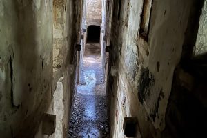 iPhone 13 f/1.6 1/2sec ISO-1000 5.1mm