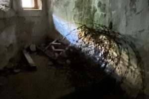 iPhone 13 f/2.4 1/4sec ISO-4000 1.54mm