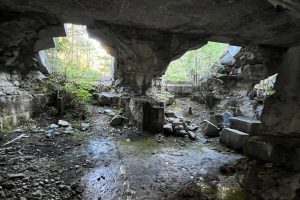 iPhone 13 f/2.4 1/60sec ISO-1250 1.54mm