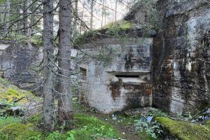 iPhone 13 f/1.6 1/60sec ISO-200 5.1mm