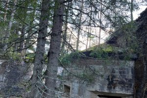 iPhone 13 f/1.6 1/121sec ISO-100 5.1mm