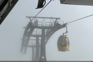 iPhone 13 f/1.6 1/8403sec ISO-50 5.1mm