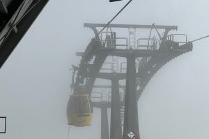 iPhone 13 f/1.6 1/8403sec ISO-50 5.1mm