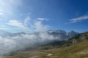 iPhone 13 f/1.6 1/9091sec ISO-50 5.1mm