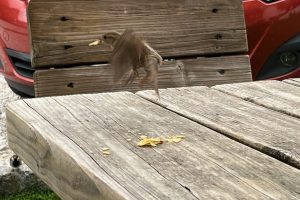 iPhone 13 f/1.6 1/367sec ISO-50 5.1mm