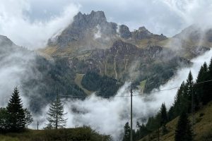 iPhone 13 f/1.6 1/2825sec ISO-50 5.1mm