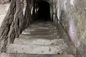 iPhone 13 f/1.6 1/9sec ISO-1250 5.1mm