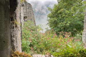 iPhone 13 f/1.6 1/125sec ISO-32 5.1mm