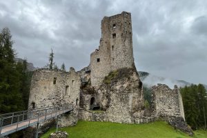 iPhone 13 f/2.4 1/326sec ISO-32 1.54mm