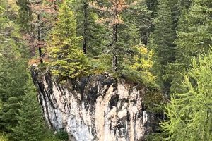 iPhone 13 f/1.6 1/269sec ISO-40 5.1mm