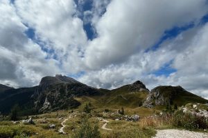 iPhone 13 f/2.4 1/3040sec ISO-32 1.54mm