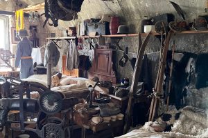 iPhone 13 f/1.6 1/33sec ISO-400 5.1mm