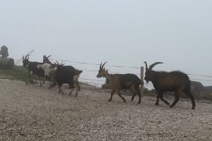 iPhone 13 f/1.6 1/793sec ISO-50 5.1mm