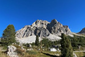 iPhone 13 f/2.4 1/550sec ISO-32 1.54mm