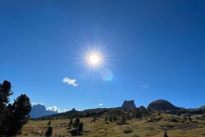 iPhone 13 f/2.4 1/1980sec ISO-32 1.54mm