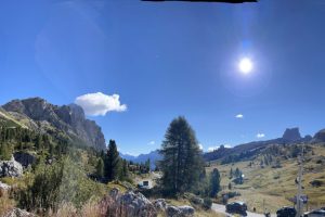 iPhone 13 f/1.6 1/1776sec ISO-50 5.1mm