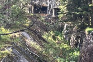 iPhone 13 f/1.6 1/223sec ISO-40 5.1mm