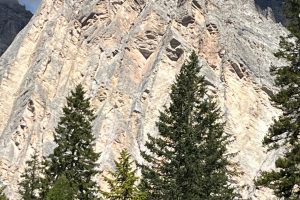 iPhone 13 f/1.6 1/5319sec ISO-50 5.1mm